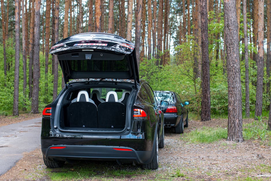 8 Essential Tips for Road Tripping with an Electric Vehicle